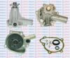 AQUAPLUS 85-1015 Water Pump